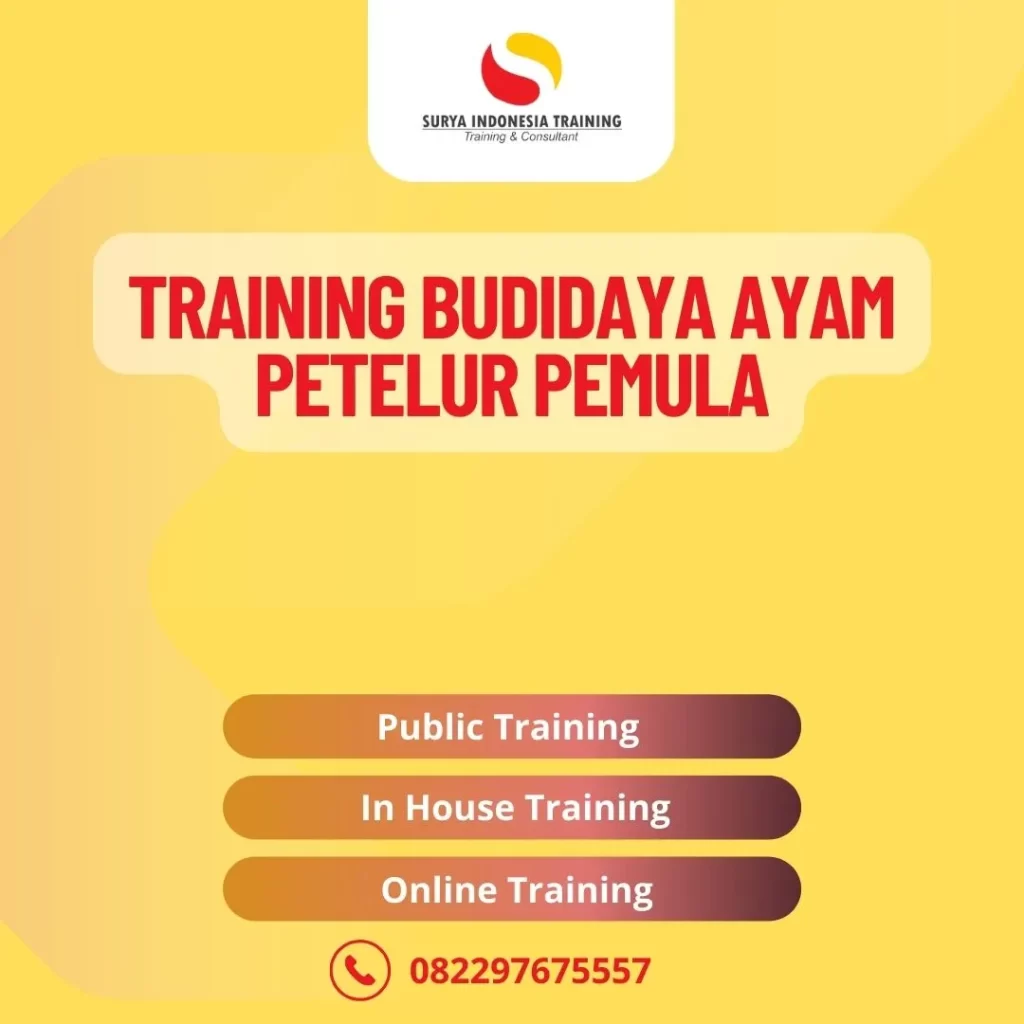 PELATIHAN BUDIDAYA AYAM PETELUR PEMULA